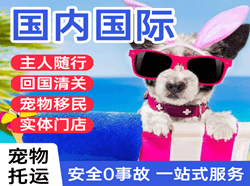 金湾机场邮寄国际宠物托运 【国